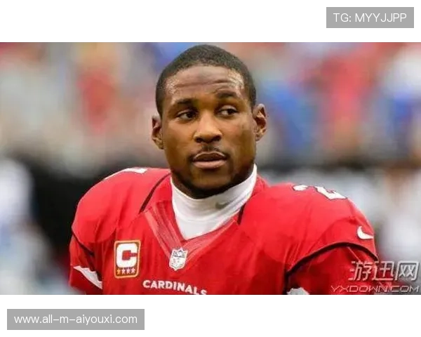 “诺克·达维德·彼得森的赛场表现引起橄榄球圈广泛关注”